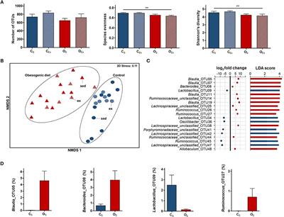 Impacts of Diet and Exercise on Maternal Gut Microbiota Are Transferred to Offspring